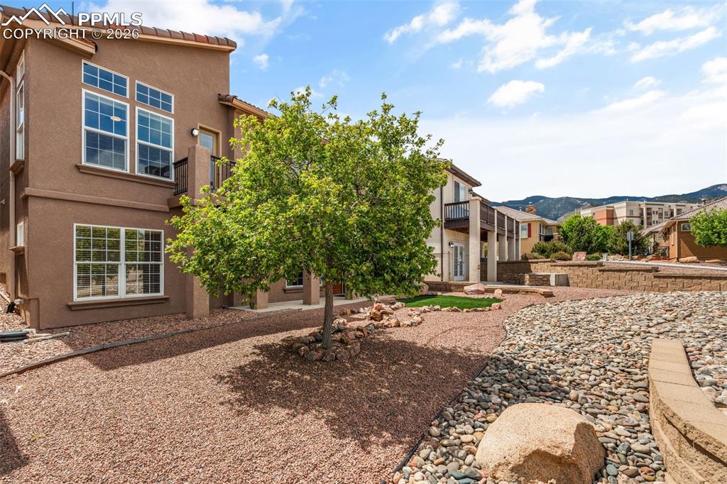 Image 38 of 39: Back of Structure