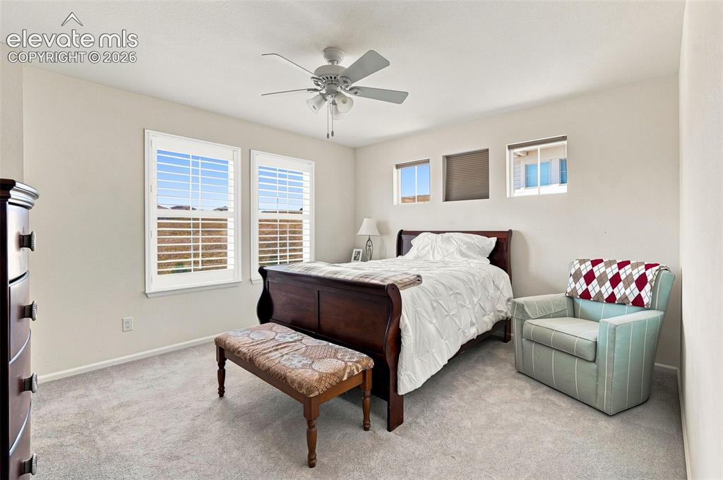 Image 17 of 39: Spacious, bright and airy primary bedroom with walk-in closet