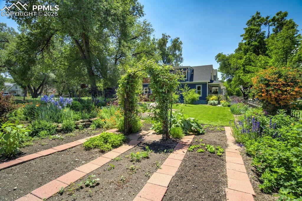 Image 37 of 40: Yard