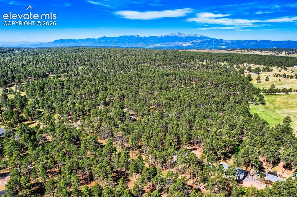 Image 47 of 49: Aerial View