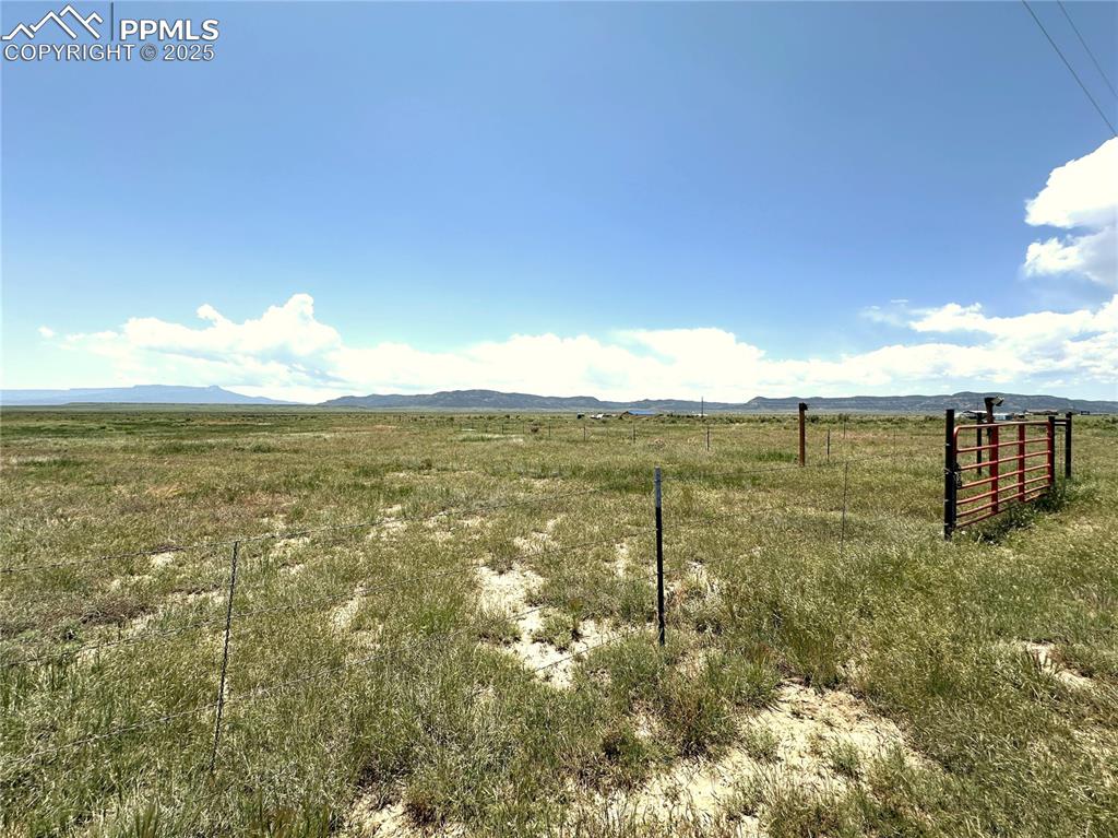 Image 15 of 21: Yard