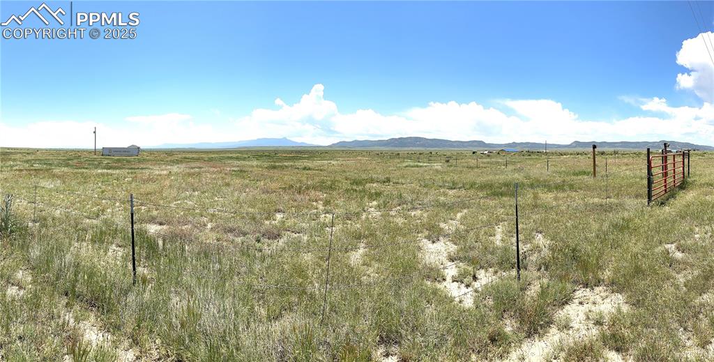 Image 16 of 21: Yard