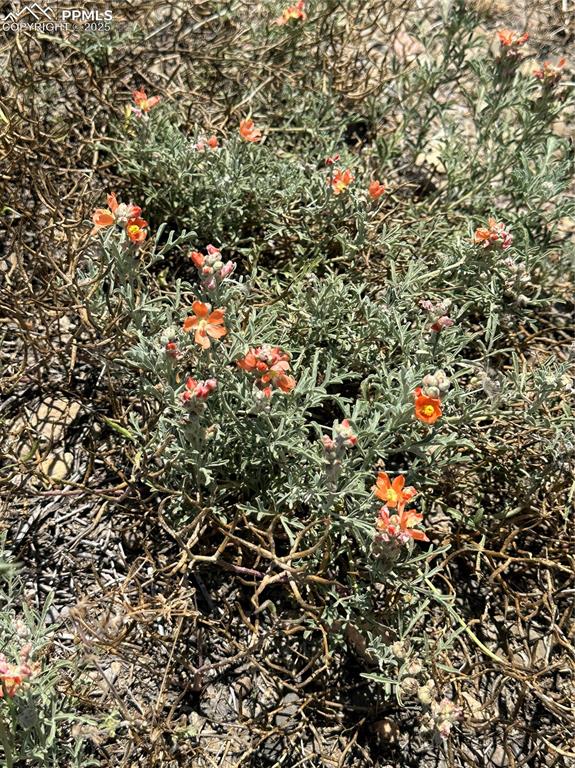 Image 20 of 21: Other