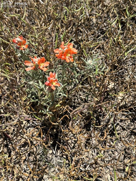 Image 21 of 21: Other