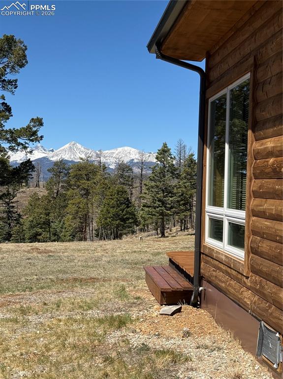 Image 11 of 40: Other