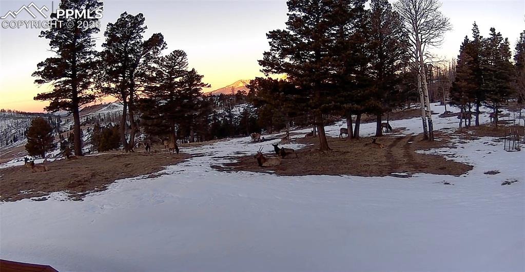 Image 14 of 40: Other