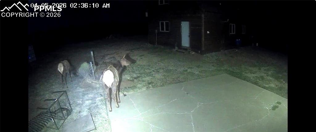 Image 19 of 40: Other