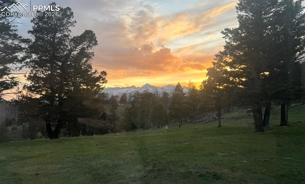 Image 4 of 40: Other