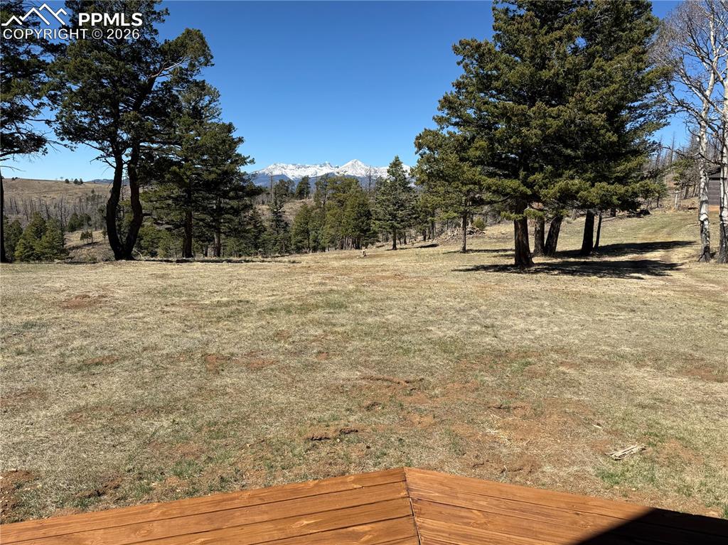 Image 40 of 40: Yard