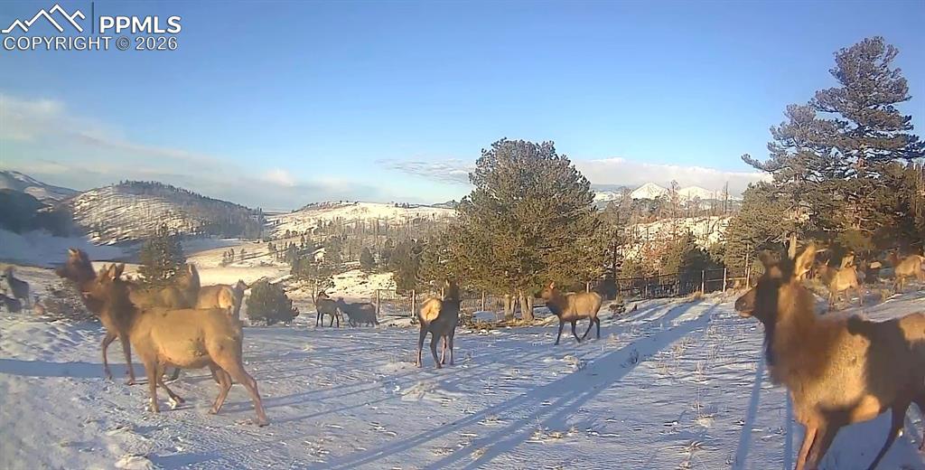 Image 6 of 40: Community