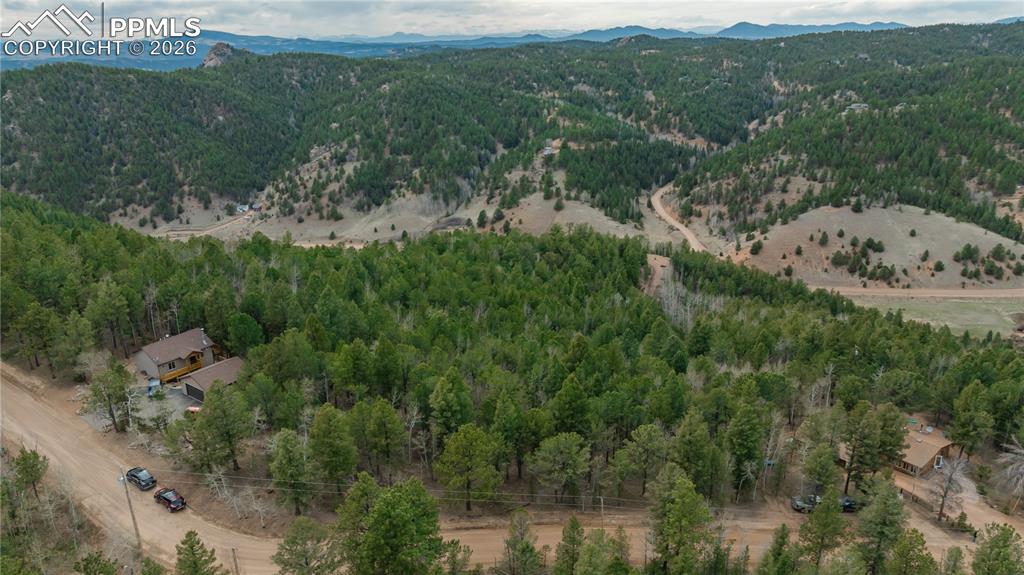 Caption: Elevated aerial perspective showcasing a property surrounded by abundant mature evergreen trees