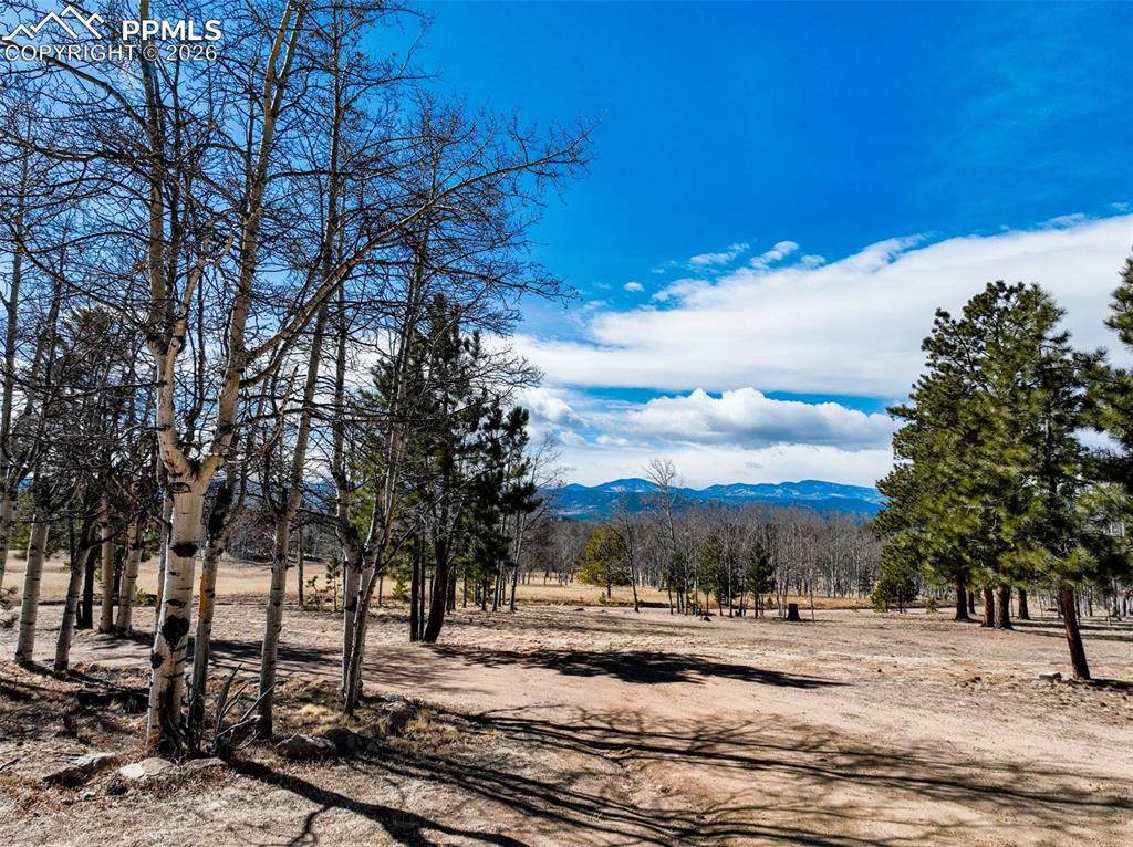 Image 41 of 41: View