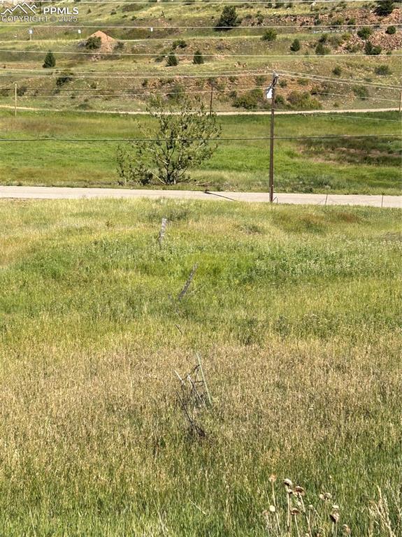 Image 2 of 7: View of details