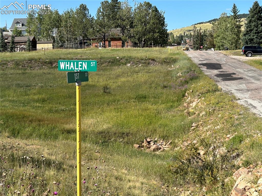 Image 6 of 7: Details featuring a mountain view