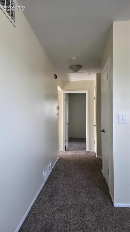 Image 4 of 5: Hallway with neutral tone walls and brown carpet flooring