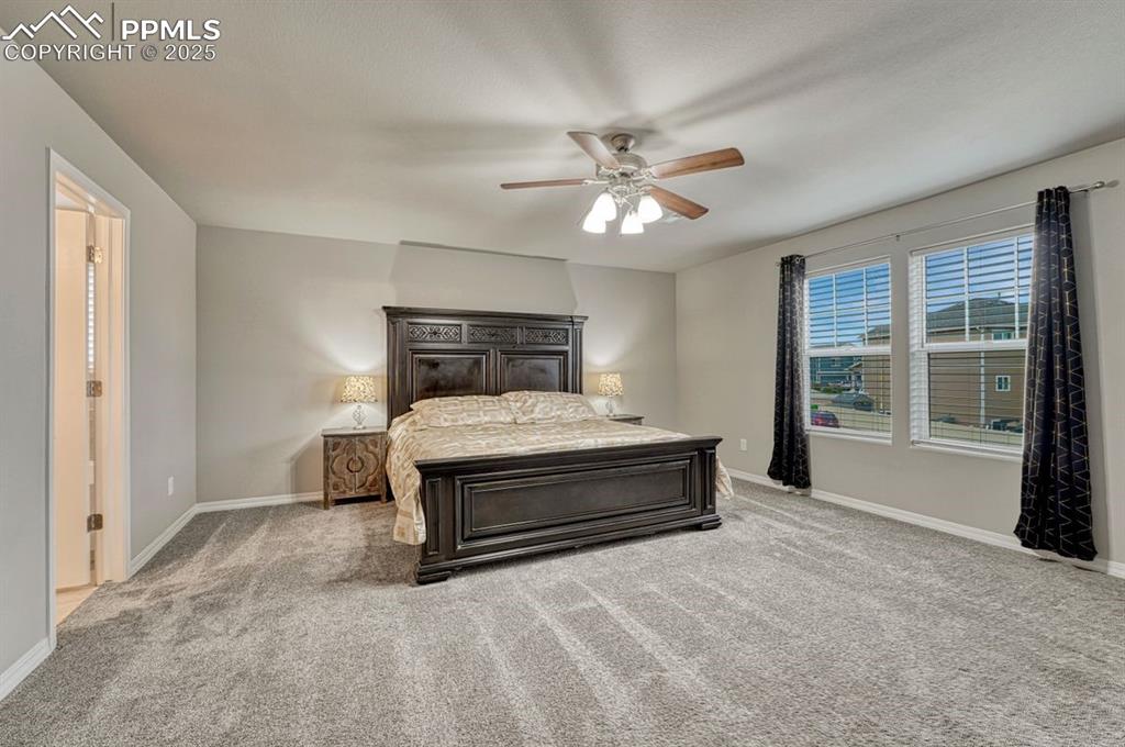 Image 21 of 40: Primary suite has plush carpeting, ceiling fan and a luxurious en-suite