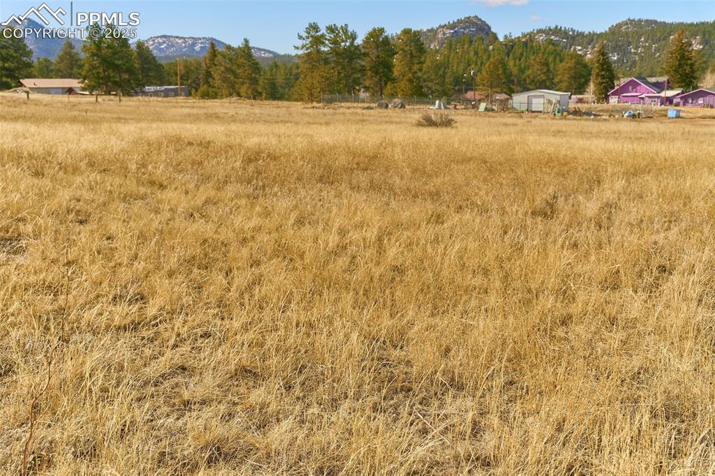 Image 15 of 27: Other