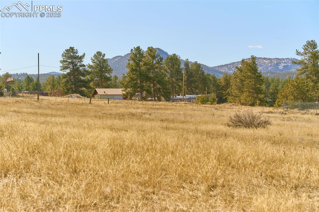 Image 26 of 27: Yard