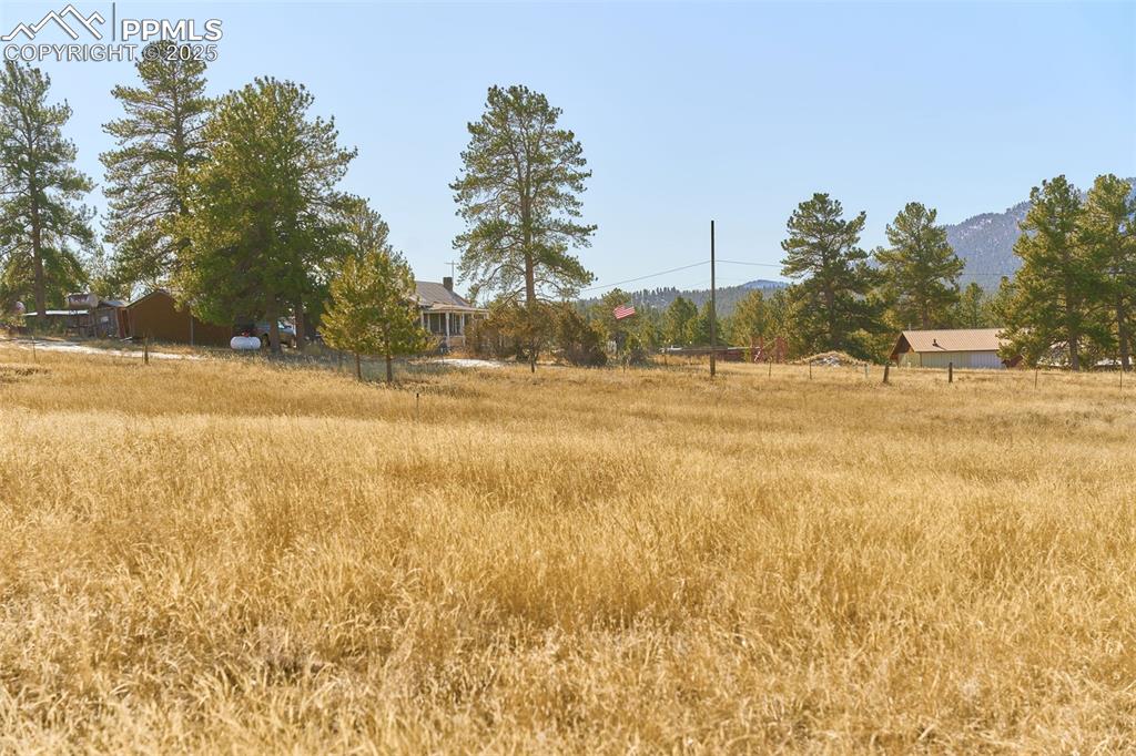 Image 27 of 27: Yard