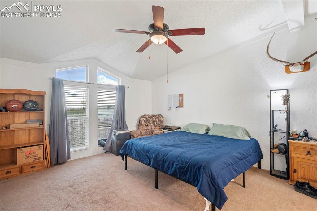 Image 19 of 49: No Description Available