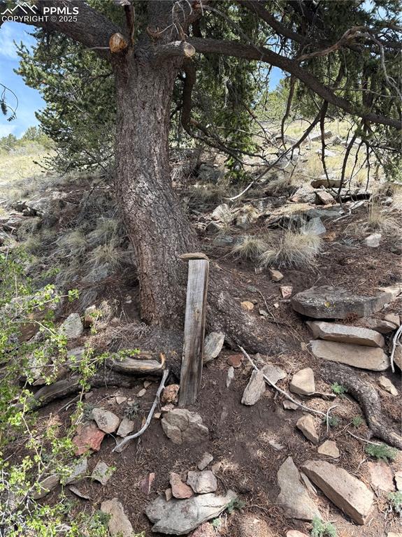 Image 13 of 15: View of nature