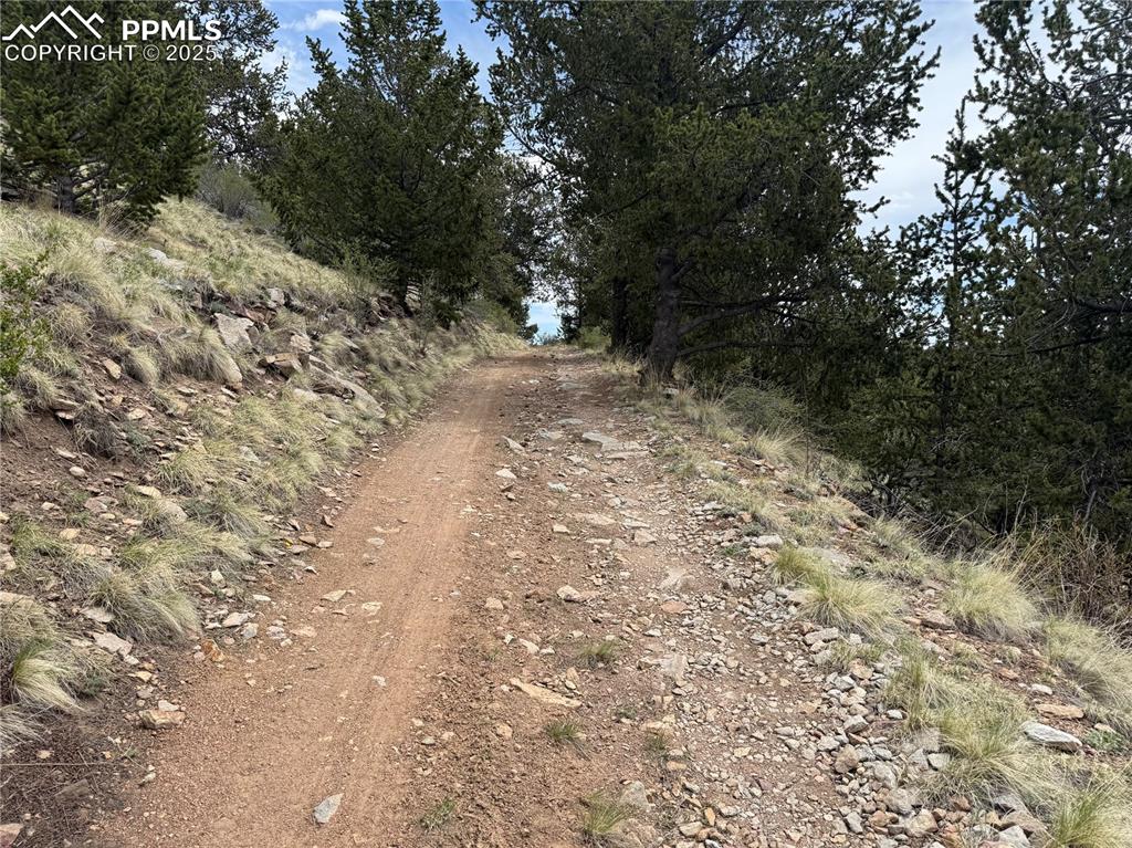Image 14 of 15: View of dirt / gravel road