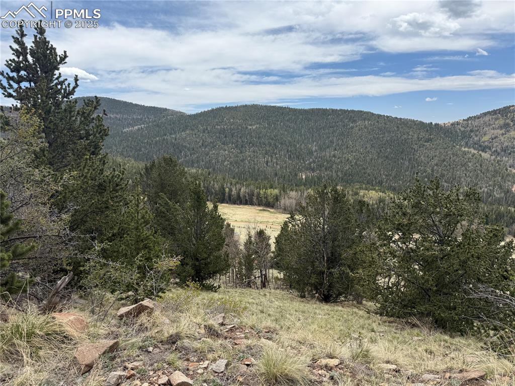 Image 15 of 15: View of mountain background featuring a heavily wooded area