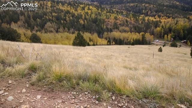 Image 5 of 15: View of mountain backdrop featuring a heavily wooded area