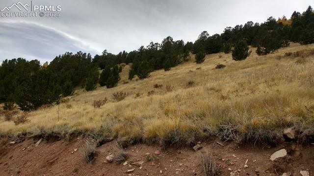 Image 7 of 15: View of local wilderness with rural landscape