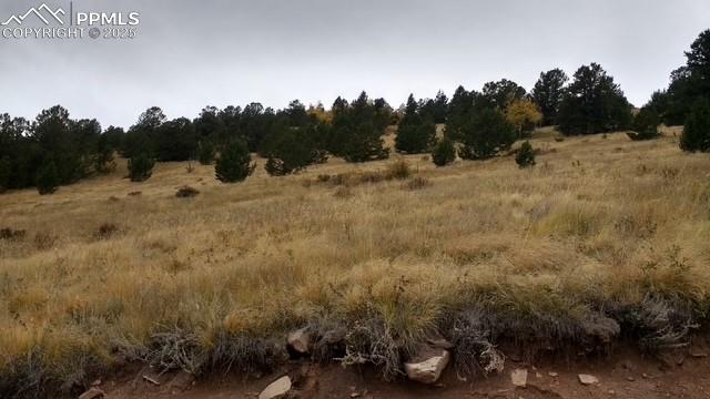 Image 8 of 15: View of nature featuring rural landscape