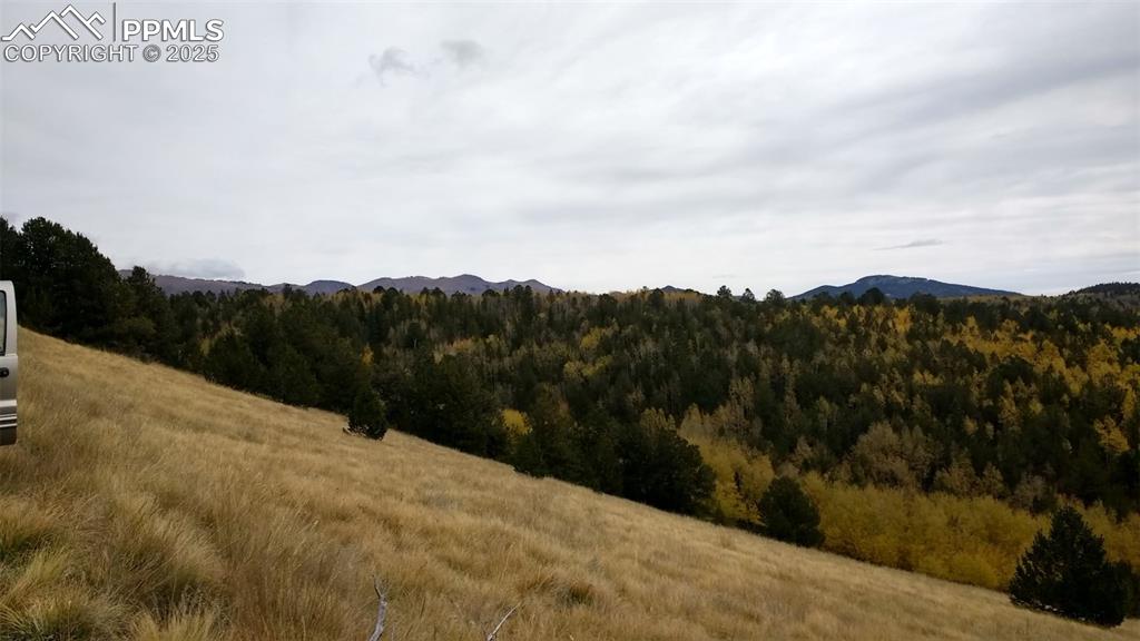 Image 9 of 15: View of mountain backdrop featuring a forest