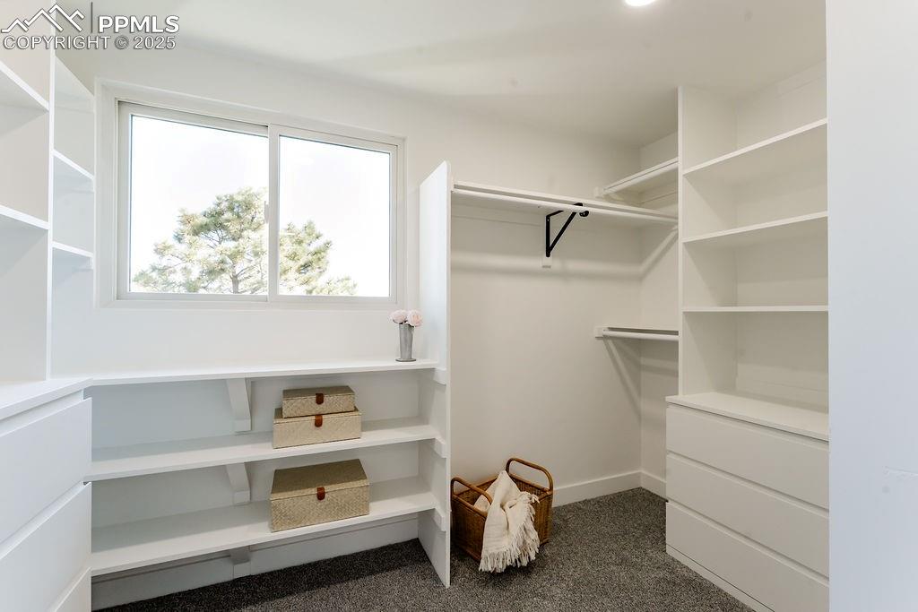 Image 27 of 43: Walk in closet featuring dark colored carpet