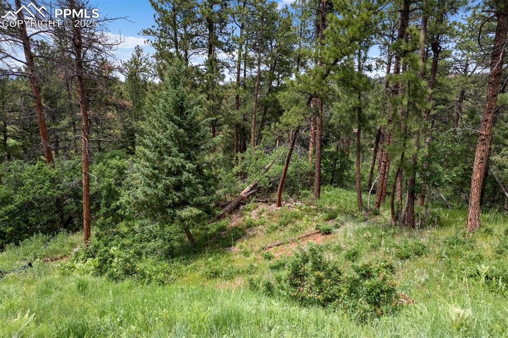 Image 5 of 6: Plenty of mature trees to accent your new build!