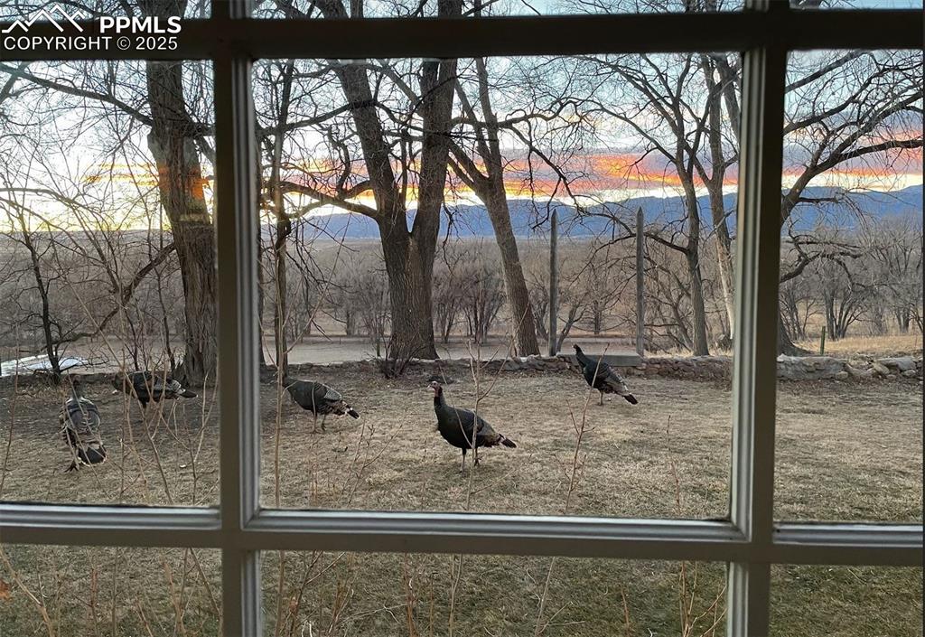 Image 17 of 46: View