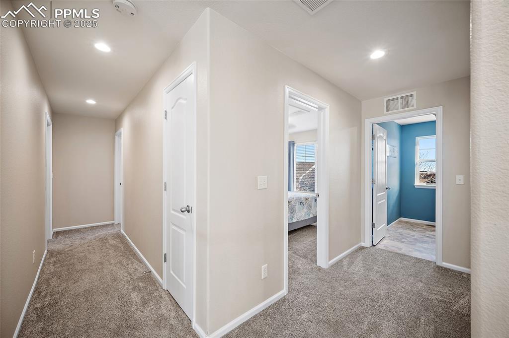 Image 19 of 50: Other