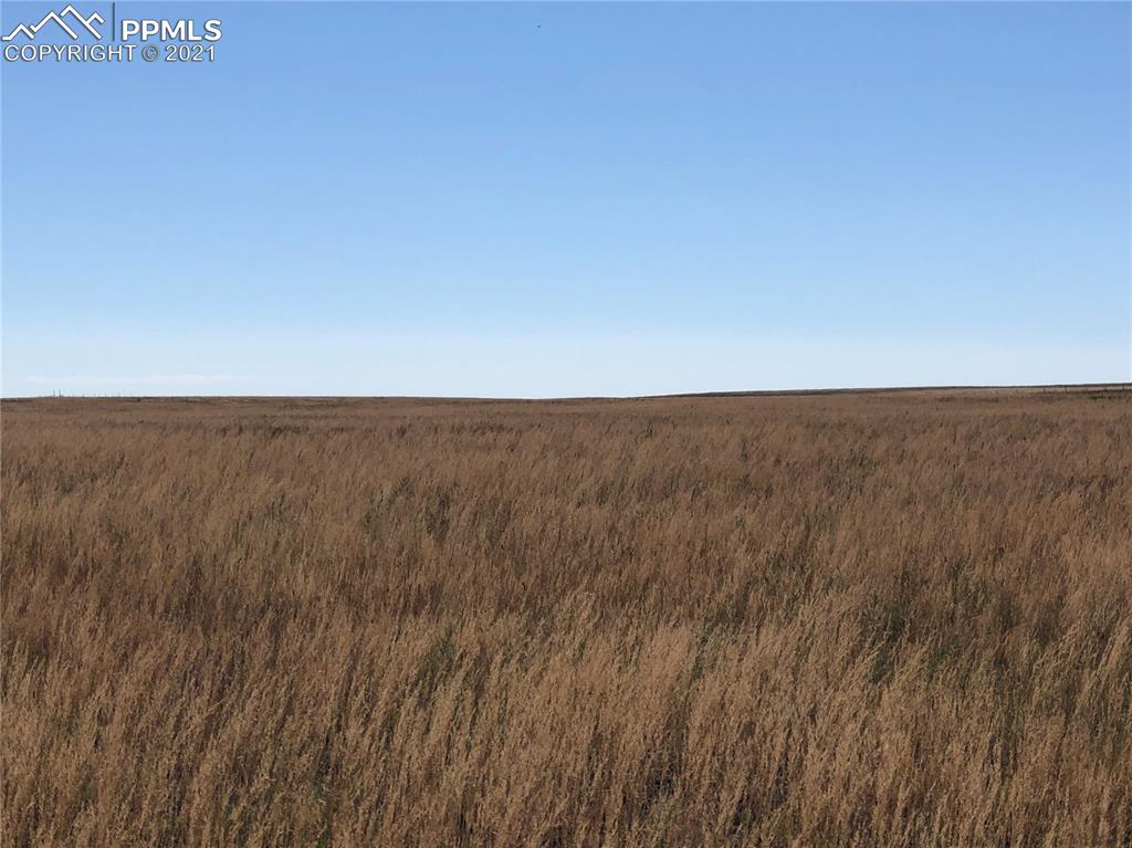 Listing 7804888, Image 25 of 27