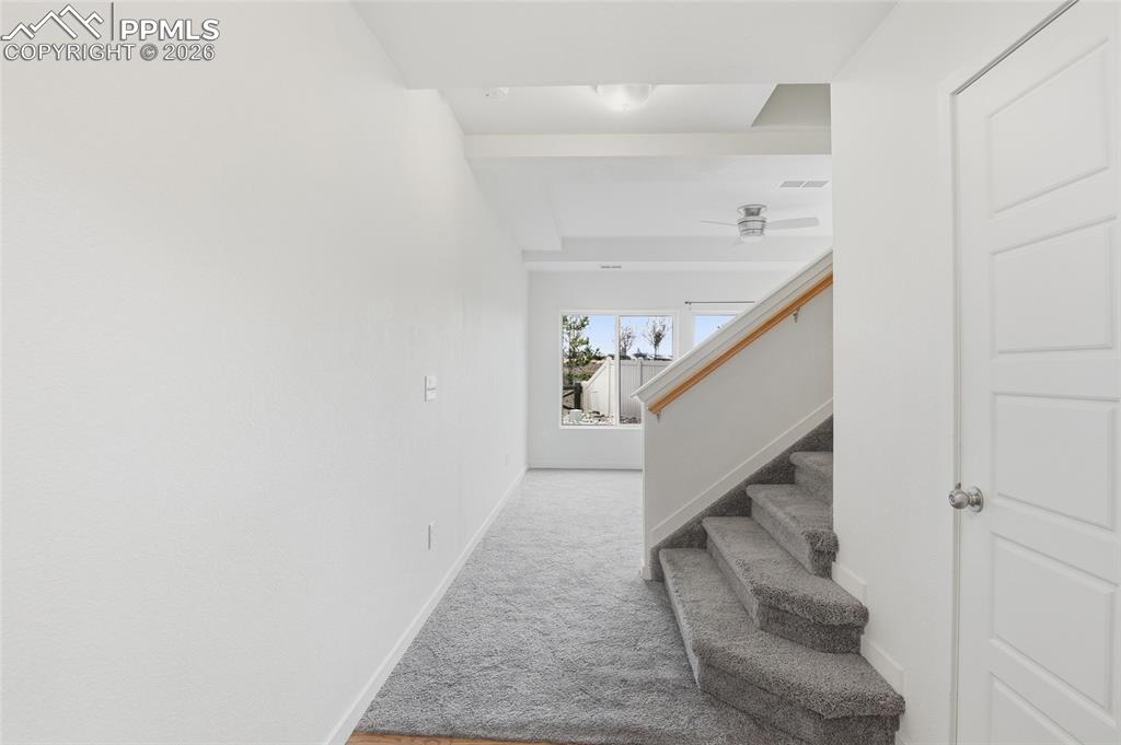 Image 12 of 29: Stairway featuring carpet floors and a ceiling fan