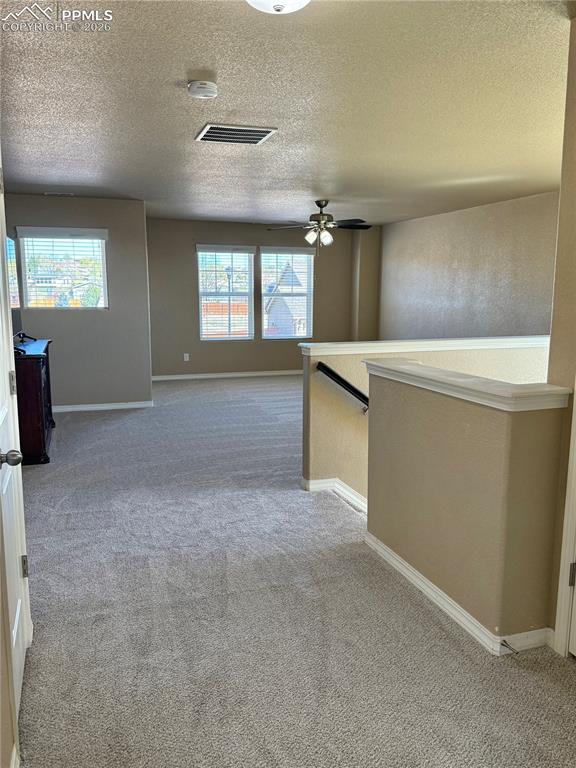 Image 16 of 30: Other