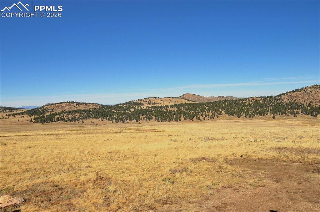 Image 44 of 49: View