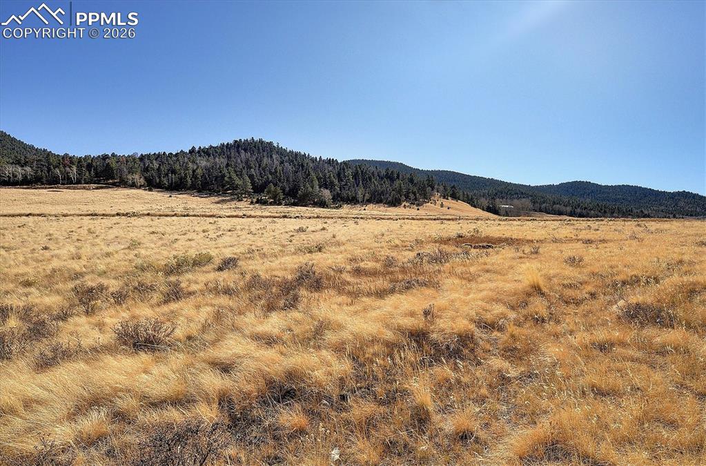 Image 45 of 49: View