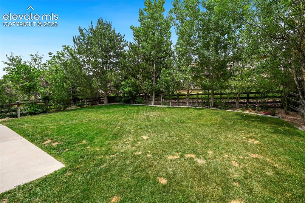 Image 35 of 39: Yard