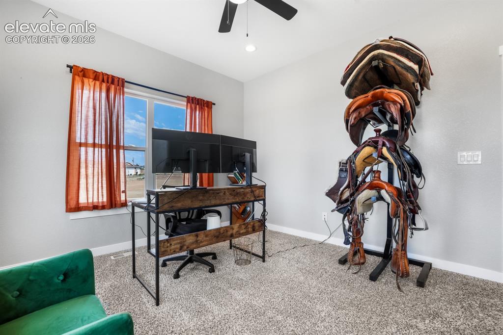 Image 24 of 50: Carpeted room featuring a ceiling fan with light, a window with white trim,