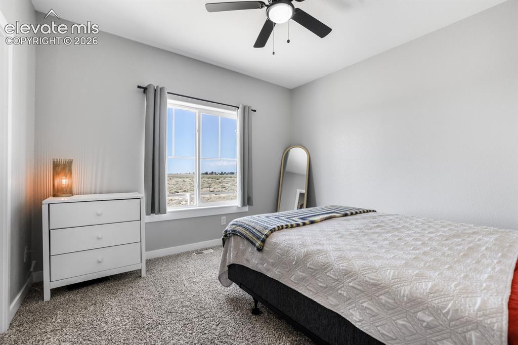 Image 29 of 50: Room featuring light gray walls and plush carpet flooring