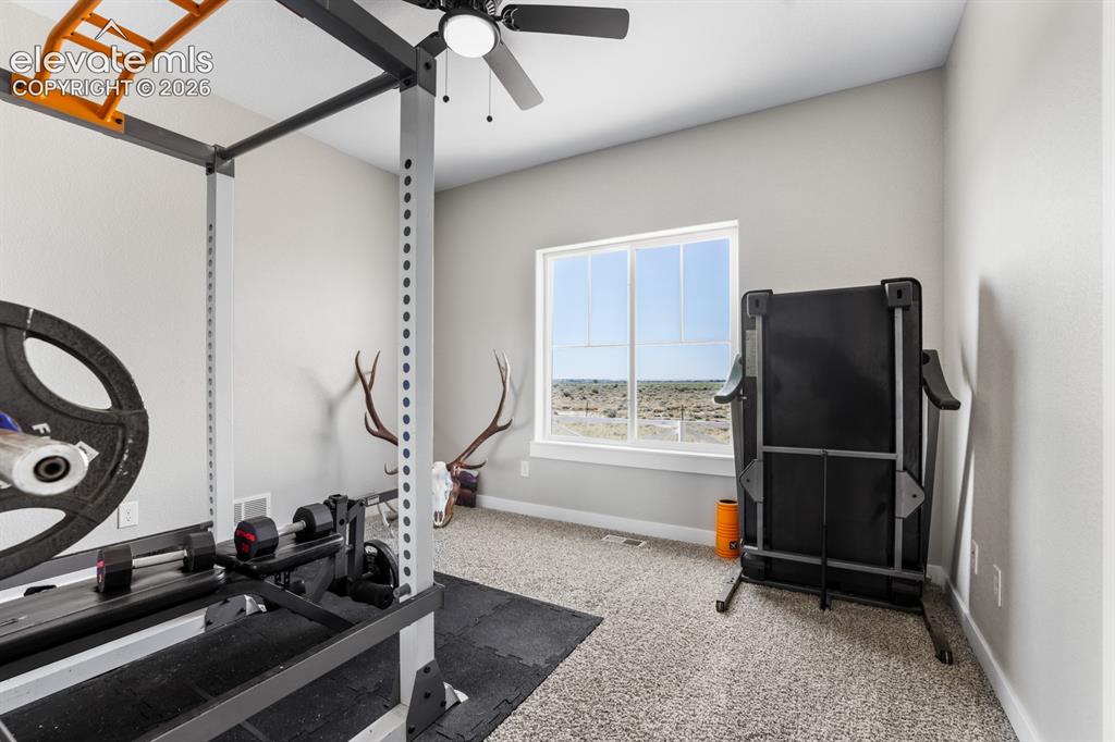 Image 31 of 50: Dedicated fitness room featuring a ceiling-mounted pull-up bar system, blac