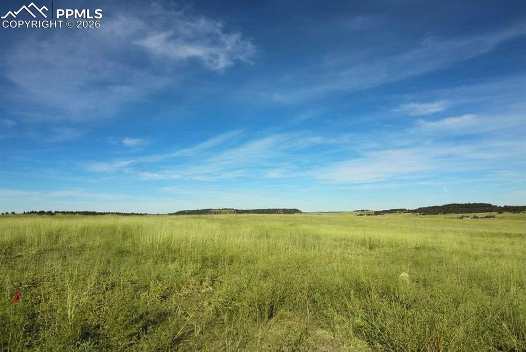 Image 20 of 20: Aerial View