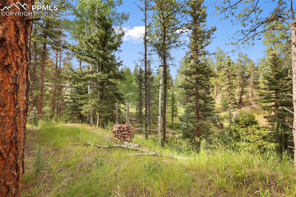 Image 16 of 23: Property 