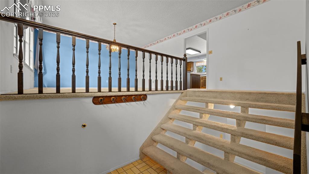 Image 5 of 47: Other