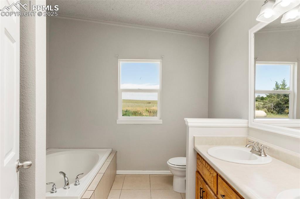 Image 14 of 34: Bathroom featuring a bath, healthy amount of natural light, ornamental mold