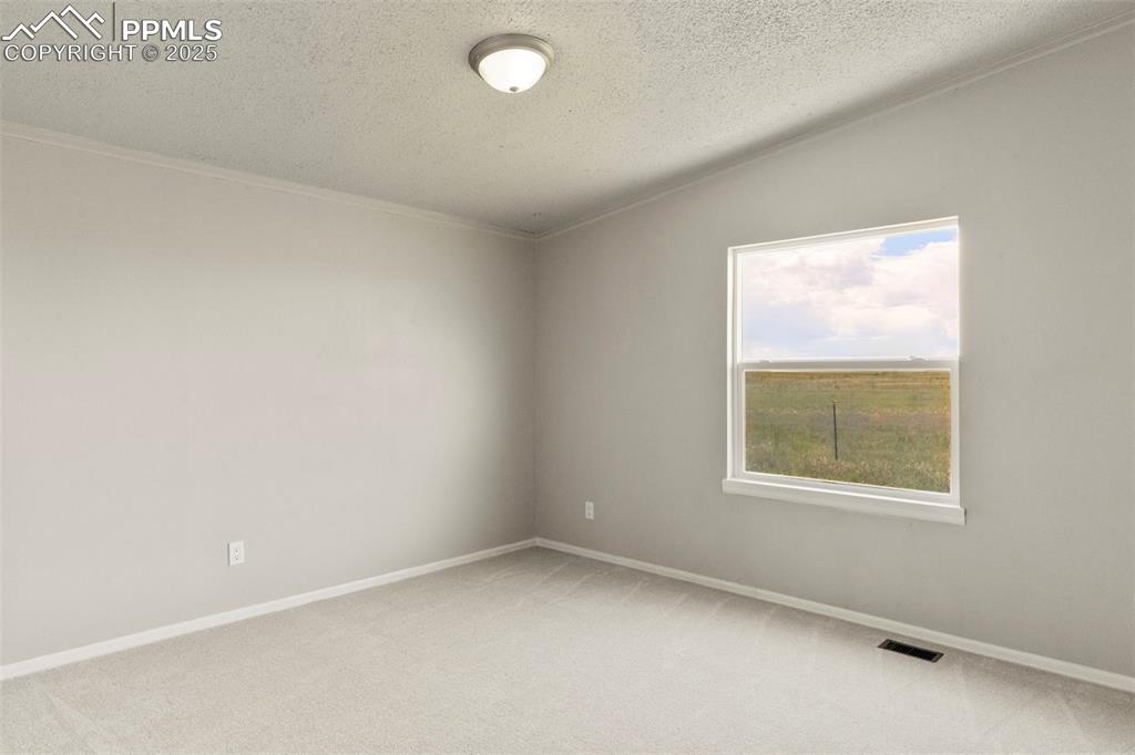 Image 18 of 34: Empty room featuring a textured ceiling, light colored carpet, and ornament