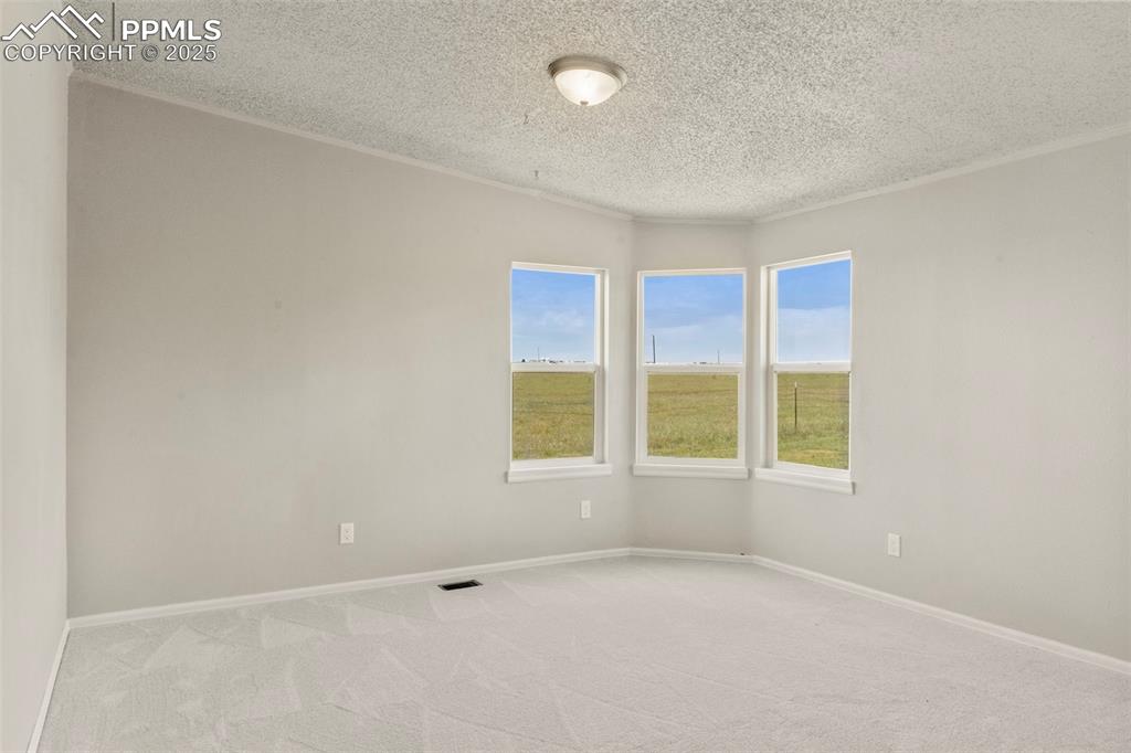 Image 20 of 34: Unfurnished room with a textured ceiling, light carpet, and crown molding